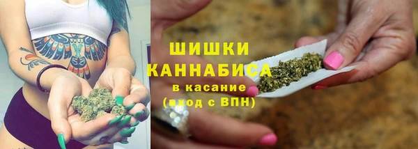 гидра Аркадак