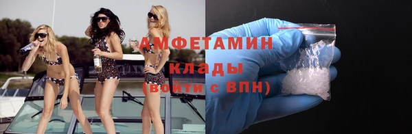 гидра Аркадак