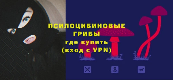 метадон Арсеньев