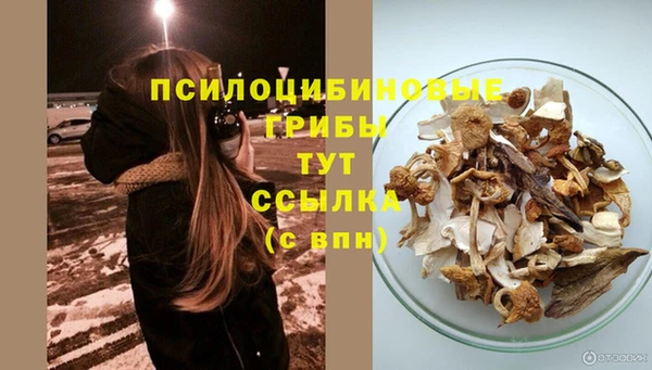 метадон Арсеньев